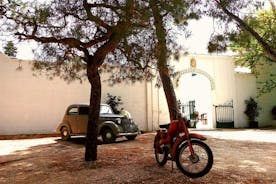 Private Tuk Tuk Tour of the Millenary Olive Groves in Ostuni