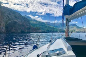 Excursão de meio dia de veleiro ao longo da costa