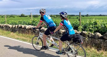 Bicycle Romagna, the Heartland of Italy's Homemade Pasta - Classic Self Guided