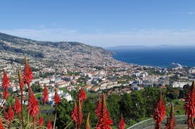 Funchalin ja Kaakkois-Madeiran kohokohdat yksityisellä 5 tunnin kiertueella