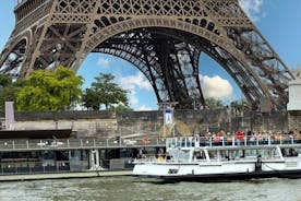 Ganztägige private Tour durch Paris im Van