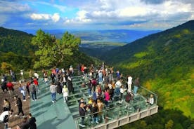 Full Day Tour in Sapanca from Istanbul