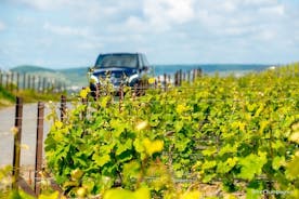 Region Reims oder Epernay: Halbtages-Privattour Minivan und Fahrer zur Verfügung