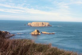 Calçada Privada dos Gigantes e Excursão pela Costa de Antrim