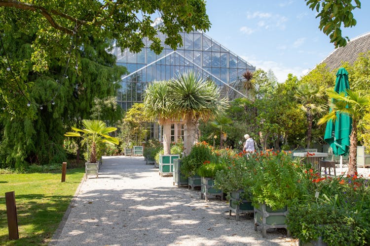 photo of Greenhouse of the Hortus botanicus in Leiden. It is the oldest botanical garden in the Netherlands and was founded in 1590.