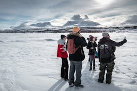 Aamuvaellus Abiskon kansallispuistossa