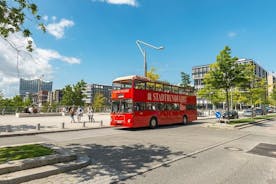 Tour combinado imprescindible por Hamburgo: tour en autobús con paradas libres, crucero y lago Alster
