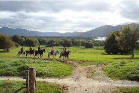 Passeio a cavalo pelo Parque Nacional de Killarney. Co Kerry. Guiado. 1 hora.