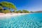 photo of sandy Santa Giulia beach with pine trees and azure clear water in Porto Vecchio, Corsica, France, Europe.