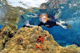 Snorkeling - By boat on site in the Bay of Cannes or Estérel