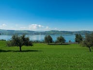 Flerbruksbiler til leie i Sursee, Sveits