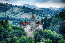 Draculas slott heldagstur från Bukarest