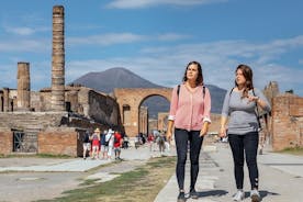 Gita privata di un giorno a Pompei ed Ercolano con biglietti