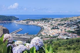 Exclusive Full Day Tour - Faial Island (up to 8 people)