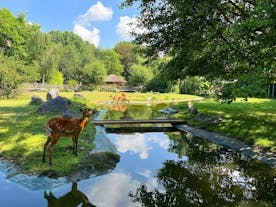 Prague Zoo