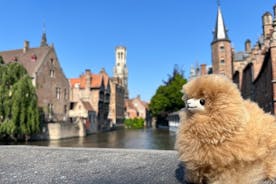 Brugge-tur fra Paris: Guidet privat tur og sjokoladesmaking