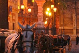 Horse and Buggy Ride in Seville with guide