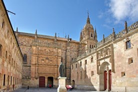  Tour Privado em Salamanca Universitária
