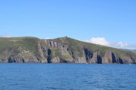 Dingle Bay Cliff Tour