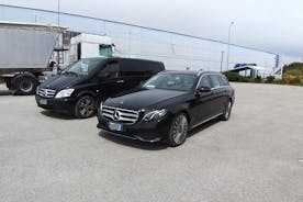 Goteborg Landvetter Airport (GOT) till Goteborg City - Ankomst privat transfer