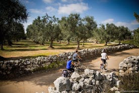 Il Salento in Bicicletta: Escursione di 4 ore a Capo di Leuca