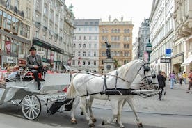 10 dagar - Glæsileiki Búdapest, Vínarborg og Prag - einkaferð