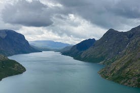 Excursion privée d'une journée complète dans le Hardangerfjord au départ de Bergen