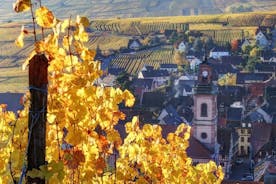 Alsace halv dag vin tur från Colmar
