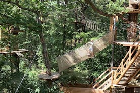 Tree Top Adventure in Forest of Meudon 