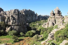 Privat dagstur til Antequera og Dolmens fra Cordoba