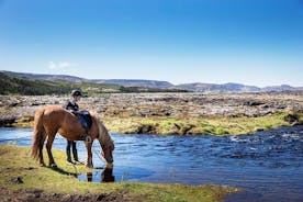 Excursão a cavalo islandesa de Reykjavik