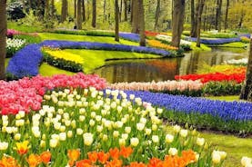 Tour Privado ao Keukenhof