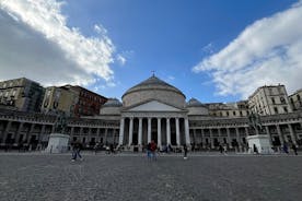 Tour privado de día completo por Nápoles y el Vesubio