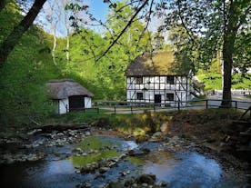 Moesgård Forest Mill