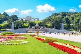 Viena: palacio y jardines de Schönbrunn sin colas con guía