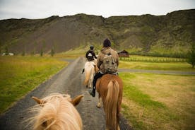 Passeio a cavalo no campo islandês - todos os níveis de equitação