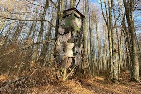 Liten grupp vildbjörnsobservatoriet tittar på tur från Brasov