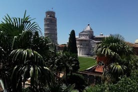 Pisa's Leaning Tower Climbing, Cathedral, Cemetery and Baptistery guided visit