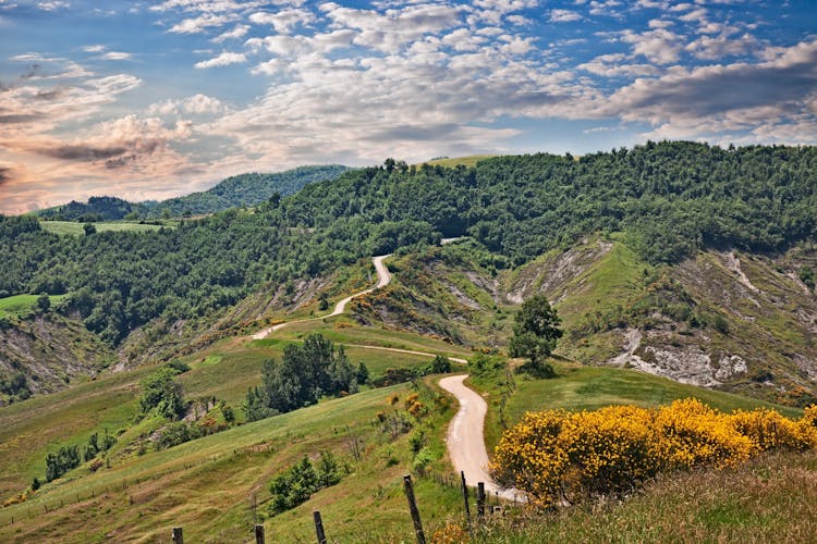 Photo of  landscape of the Apennine mountains with flowering broom, dirt road, forest and pastures.