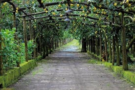 Passeio de bicicleta elétrica em Sorrento com degustação de limoncello