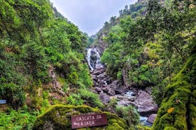 ペネダ - ジェレス国立公園のラグーンツアー