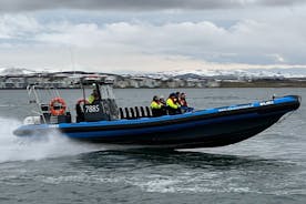 RIB RUSH - RIB-bootavontuur in Kopavogur, IJsland