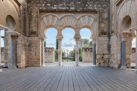 Guided visit to Medina Azahara