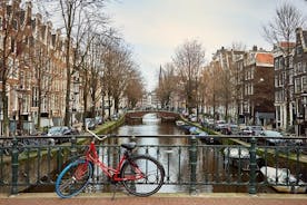 Excursão fotográfica privada de 3 horas em Amsterdã por pontos turísticos famosos