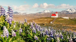 Hoteller og overnatningssteder i Hellissandur, Island