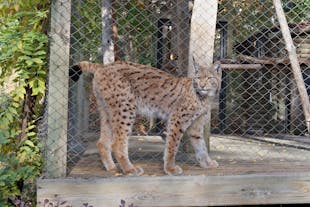 Zoo of Chisinau