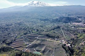 Etna panoramautsikt privat rundtur + vinsmak och matkombination (FANTASTISK)