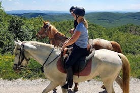 Halve dag paardrijden in Toscane voor beginnende ruiters