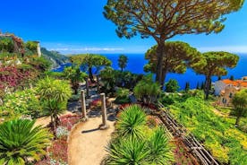 Experiência de excursão privada de vinho na Costa Amalfitana de dia inteiro saindo de Positano