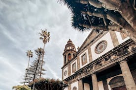 Tour Guiado Dia Completo en el Parque Rural Anaga y La Laguna desde el Sur